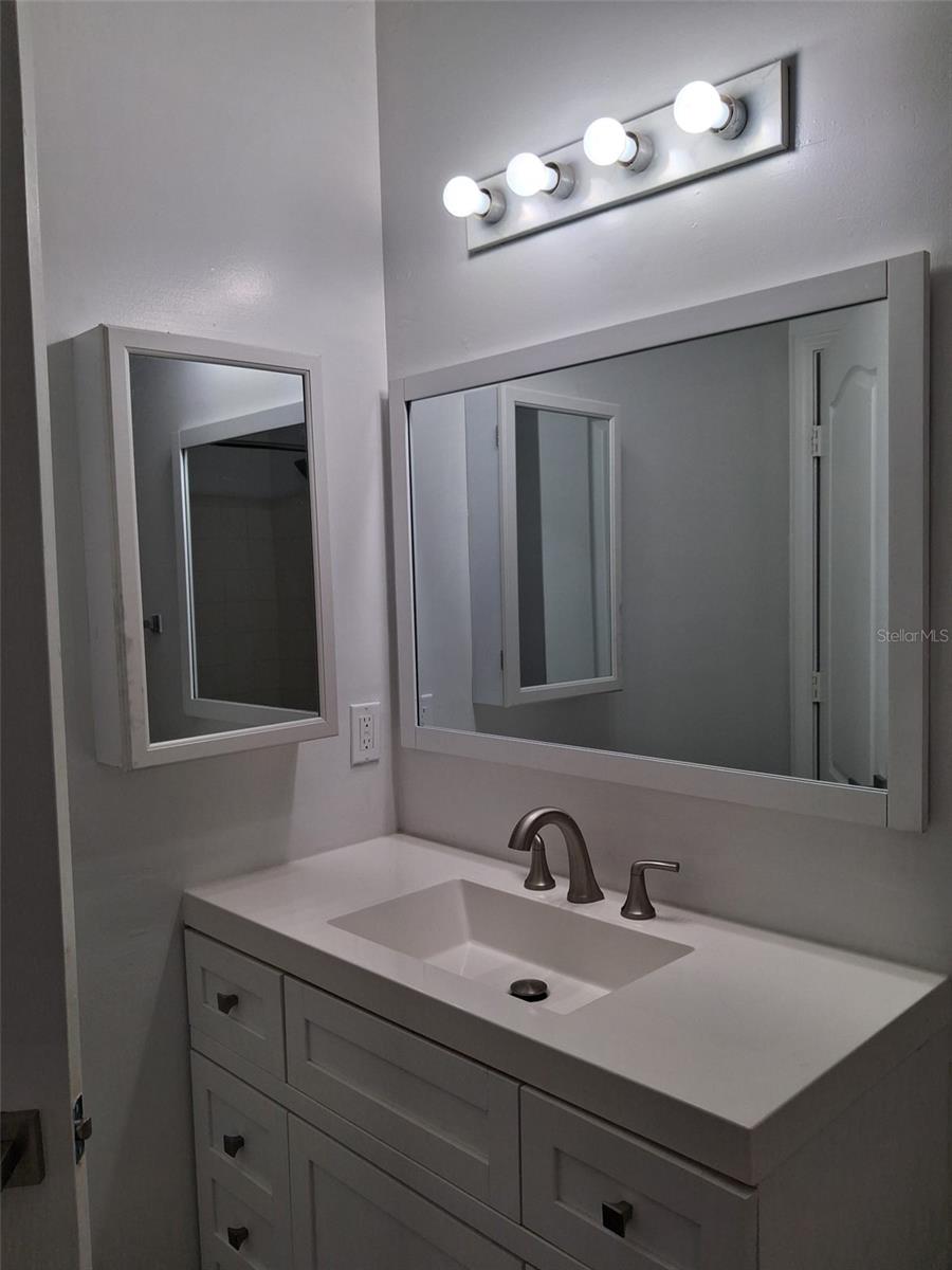 10405 VILLA VIEW CIR #10405, TAMPA, FL, 33647