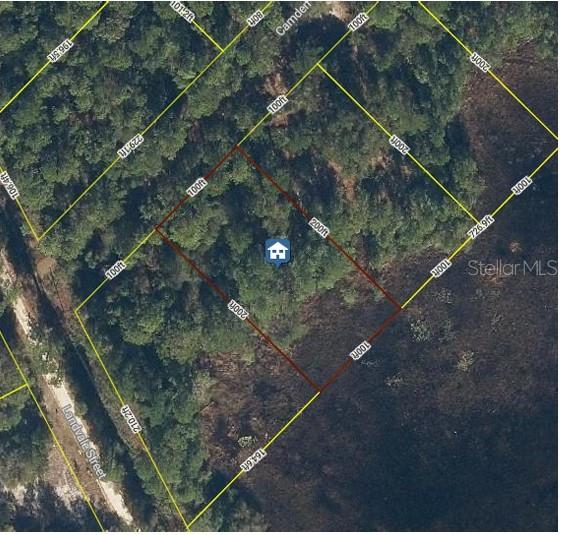 103 BRIERLY ST, GEORGETOWN, FL, 32139