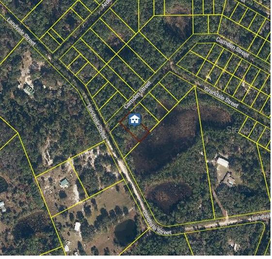 103 BRIERLY ST, GEORGETOWN, FL, 32139