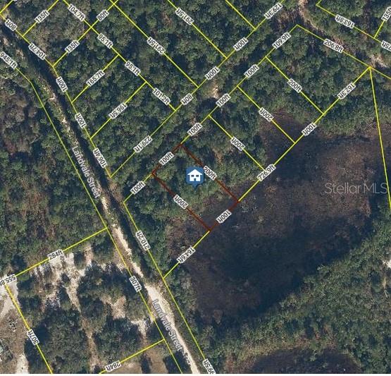 103 BRIERLY ST, GEORGETOWN, FL, 32139