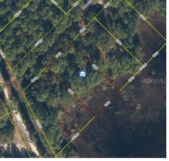 103 BRIERLY ST, GEORGETOWN, FL, 32139