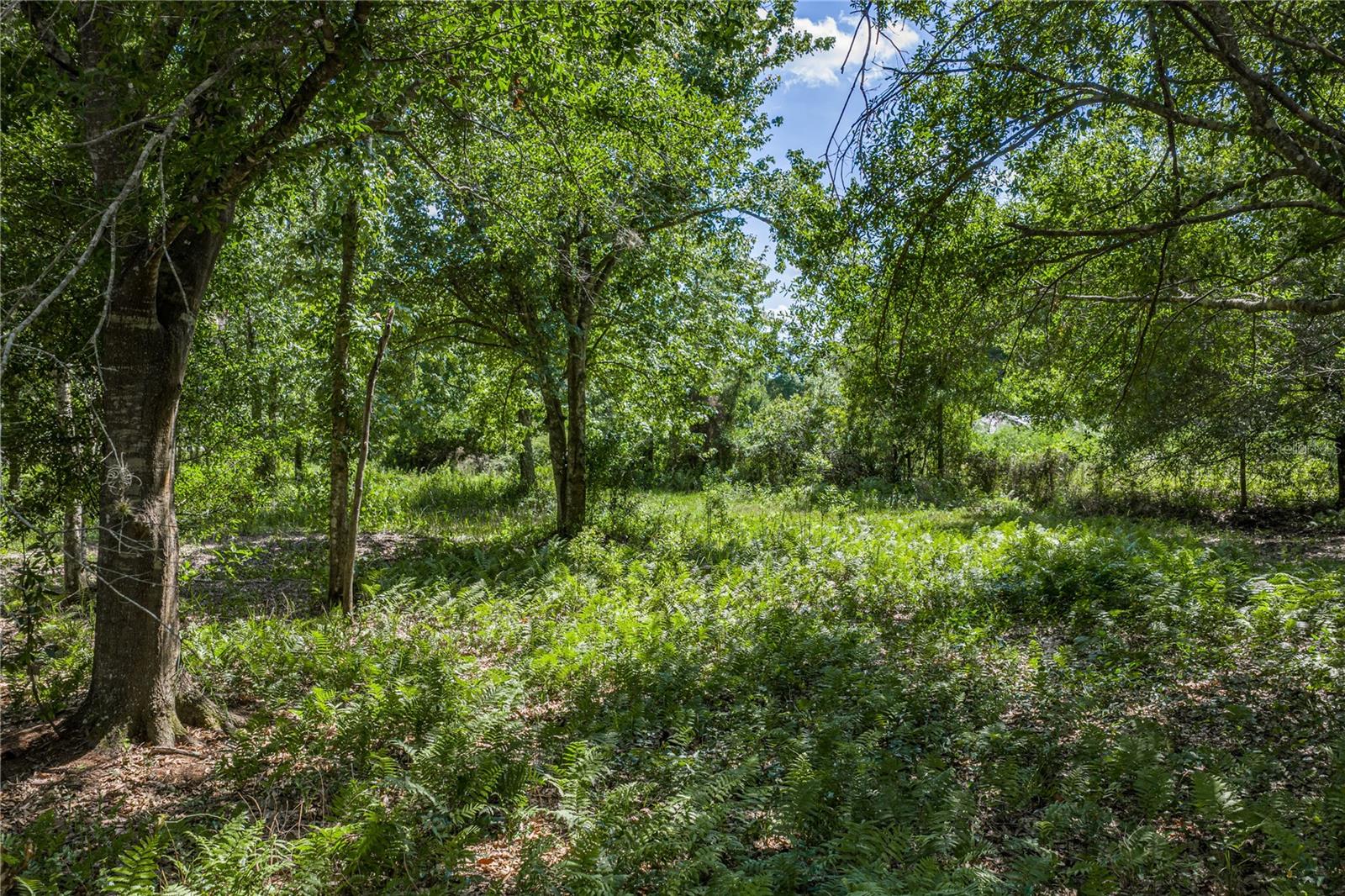 42655 STATE ROAD 64 E, MYAKKA CITY, FL, 34251