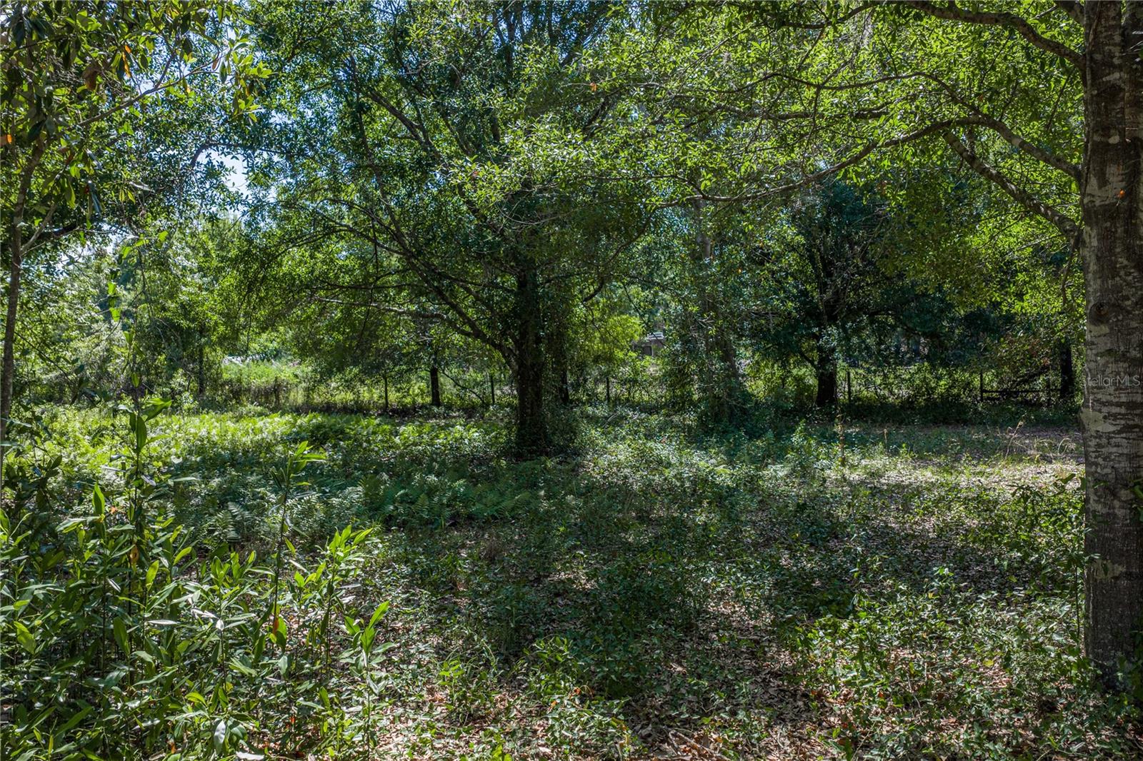 42655 STATE ROAD 64 E, MYAKKA CITY, FL, 34251