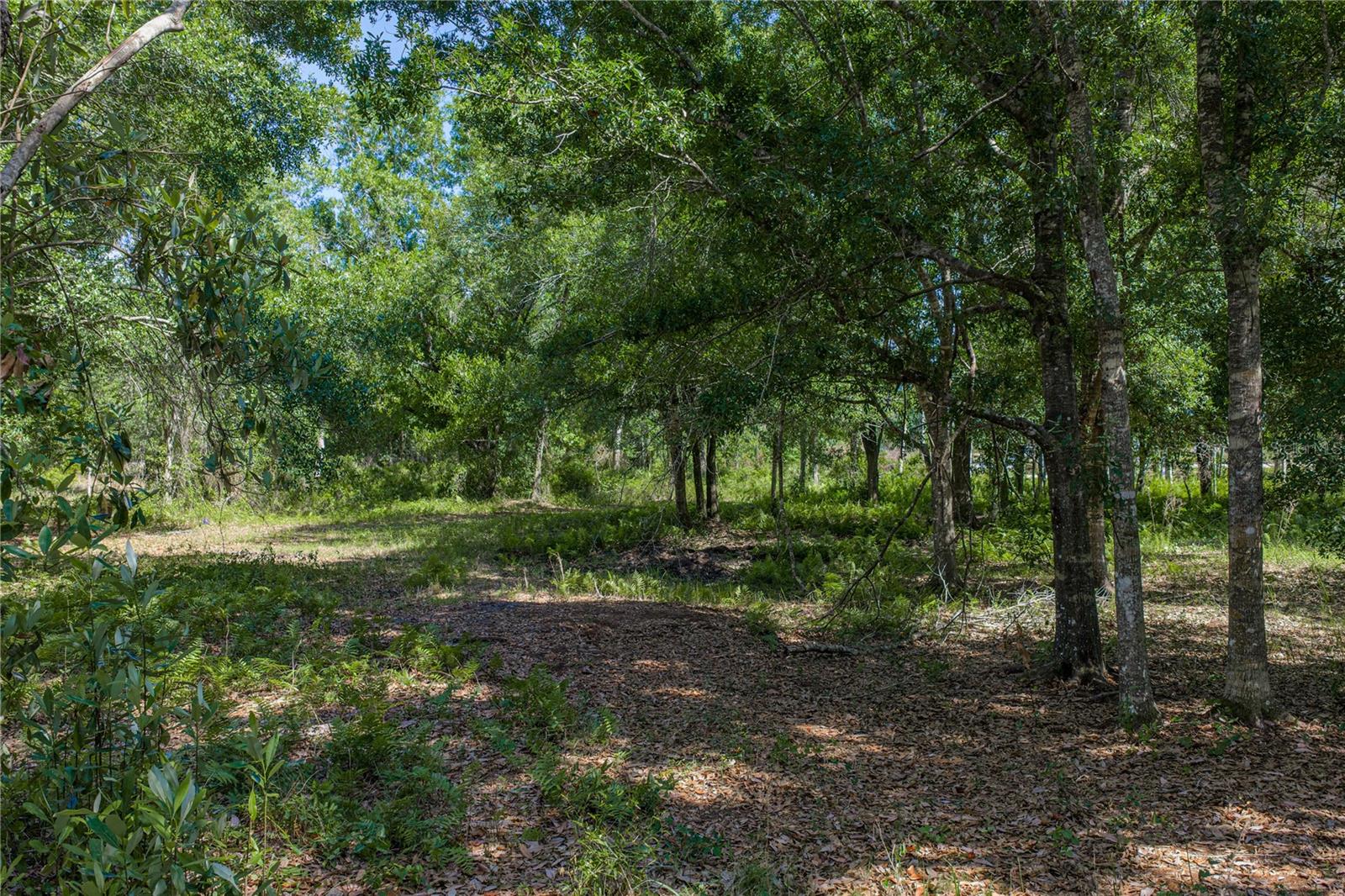 42655 STATE ROAD 64 E, MYAKKA CITY, FL, 34251