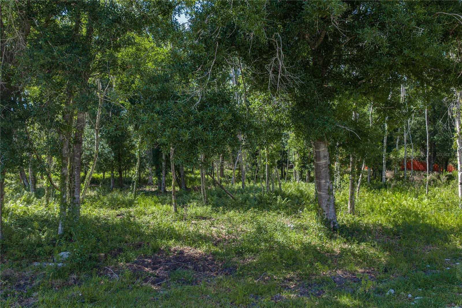 42655 STATE ROAD 64 E, MYAKKA CITY, FL, 34251