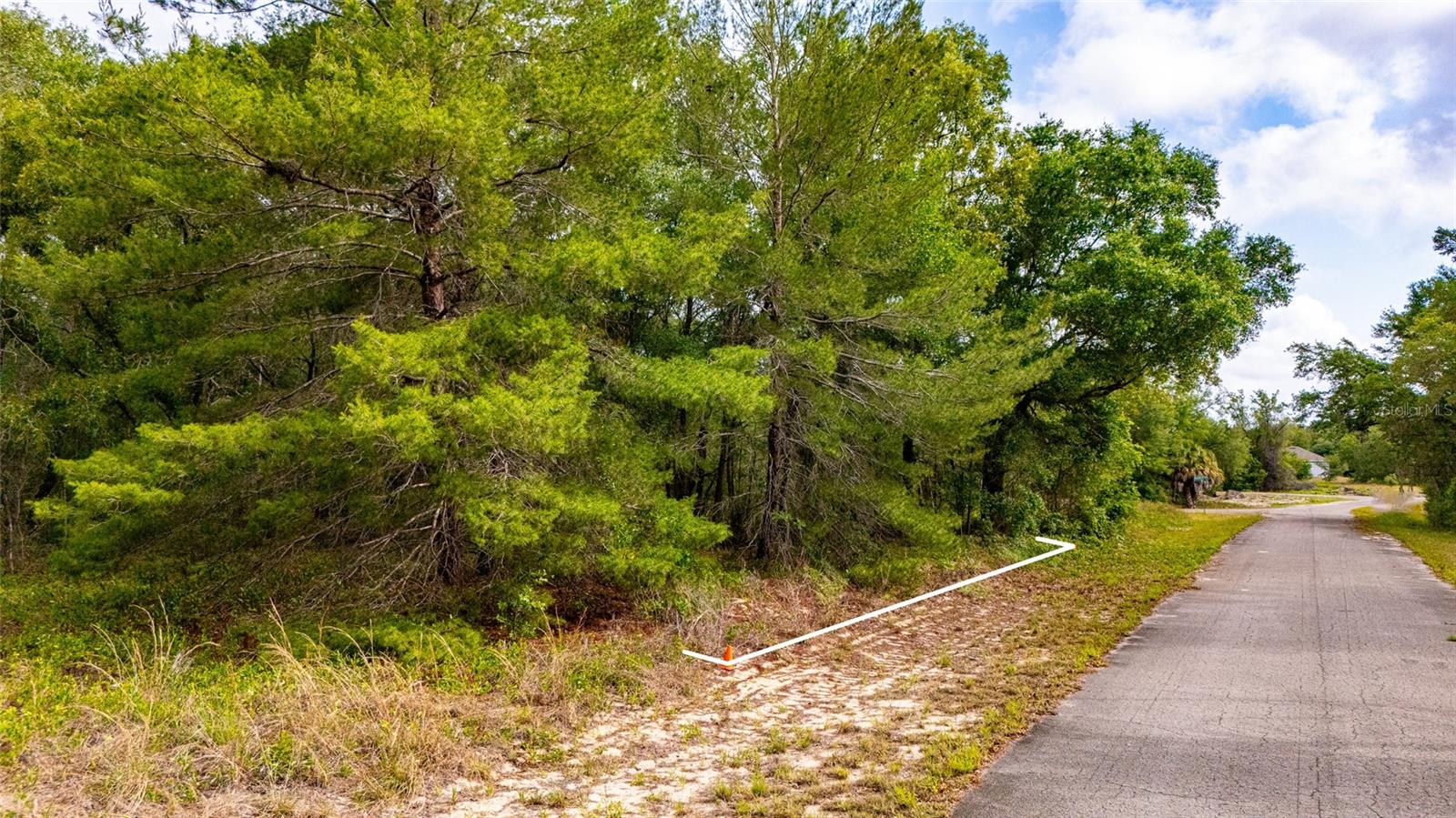 MAGNOLIA DR, OCKLAWAHA, FL, 32179