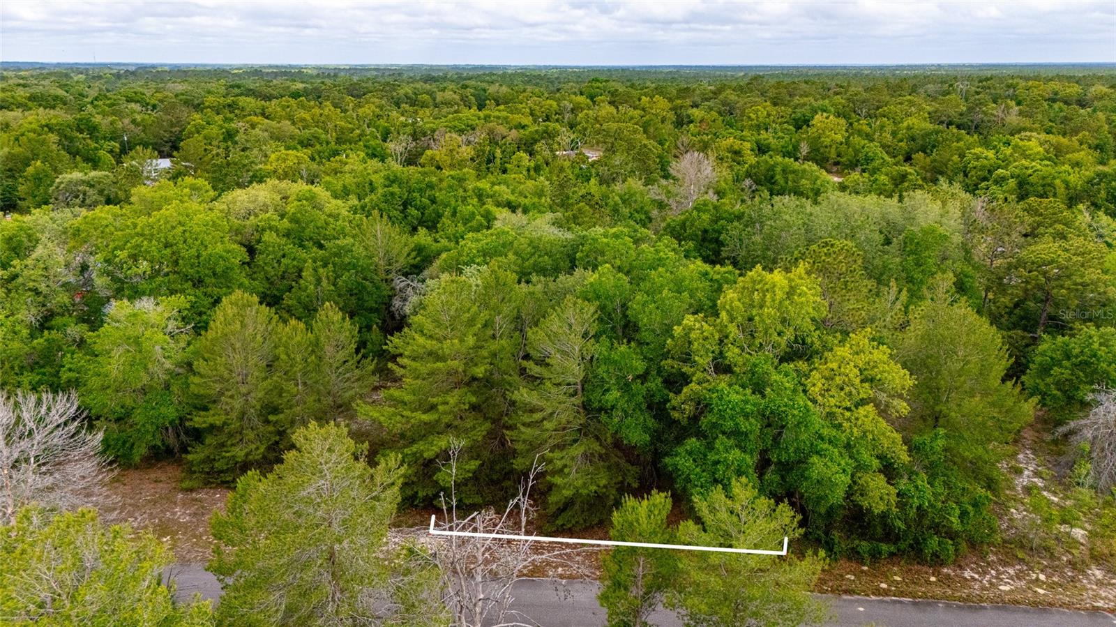MAGNOLIA DR, OCKLAWAHA, FL, 32179