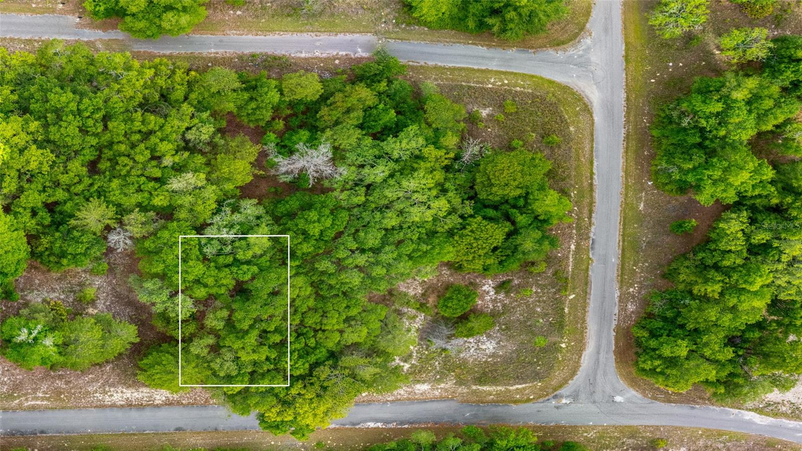 MAGNOLIA DR, OCKLAWAHA, FL, 32179