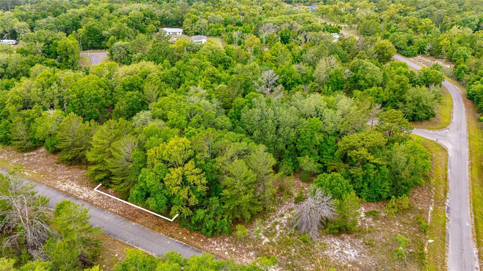 MAGNOLIA DR, OCKLAWAHA, FL, 32179