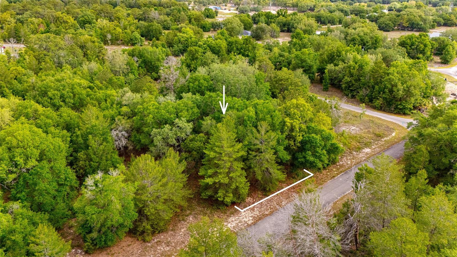 MAGNOLIA DR, OCKLAWAHA, FL, 32179