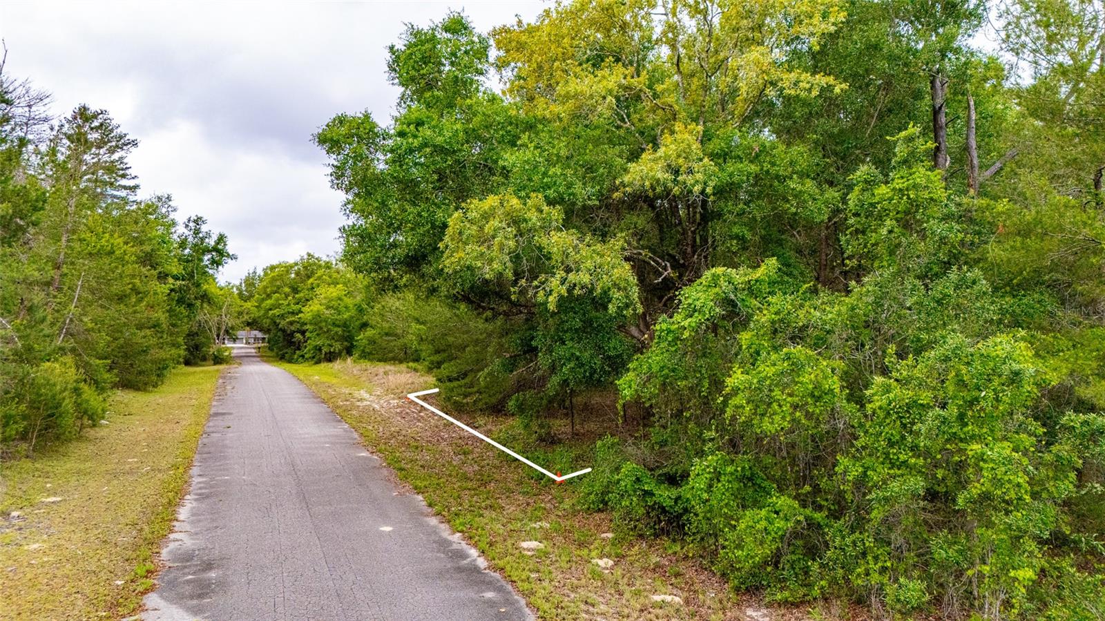 MAGNOLIA DR, OCKLAWAHA, FL, 32179