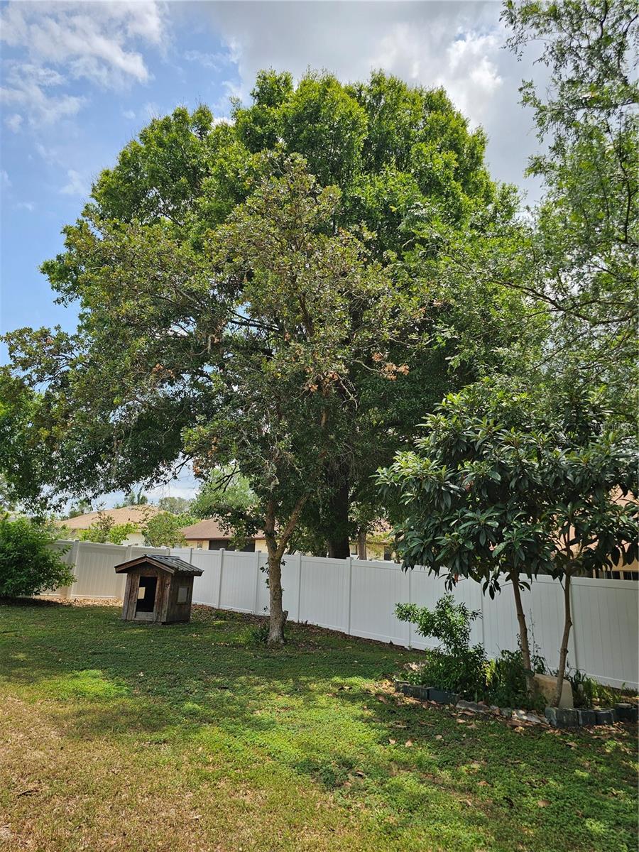 5280 SW 88TH PL, OCALA, FL, 34476