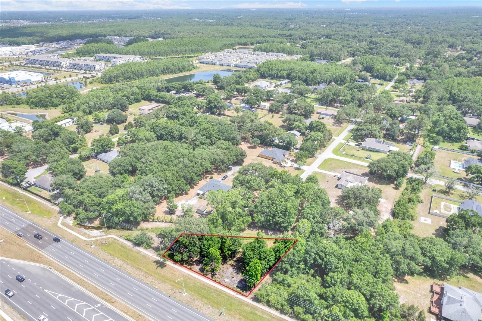 STATE ROAD 54, LUTZ, FL, 33558
