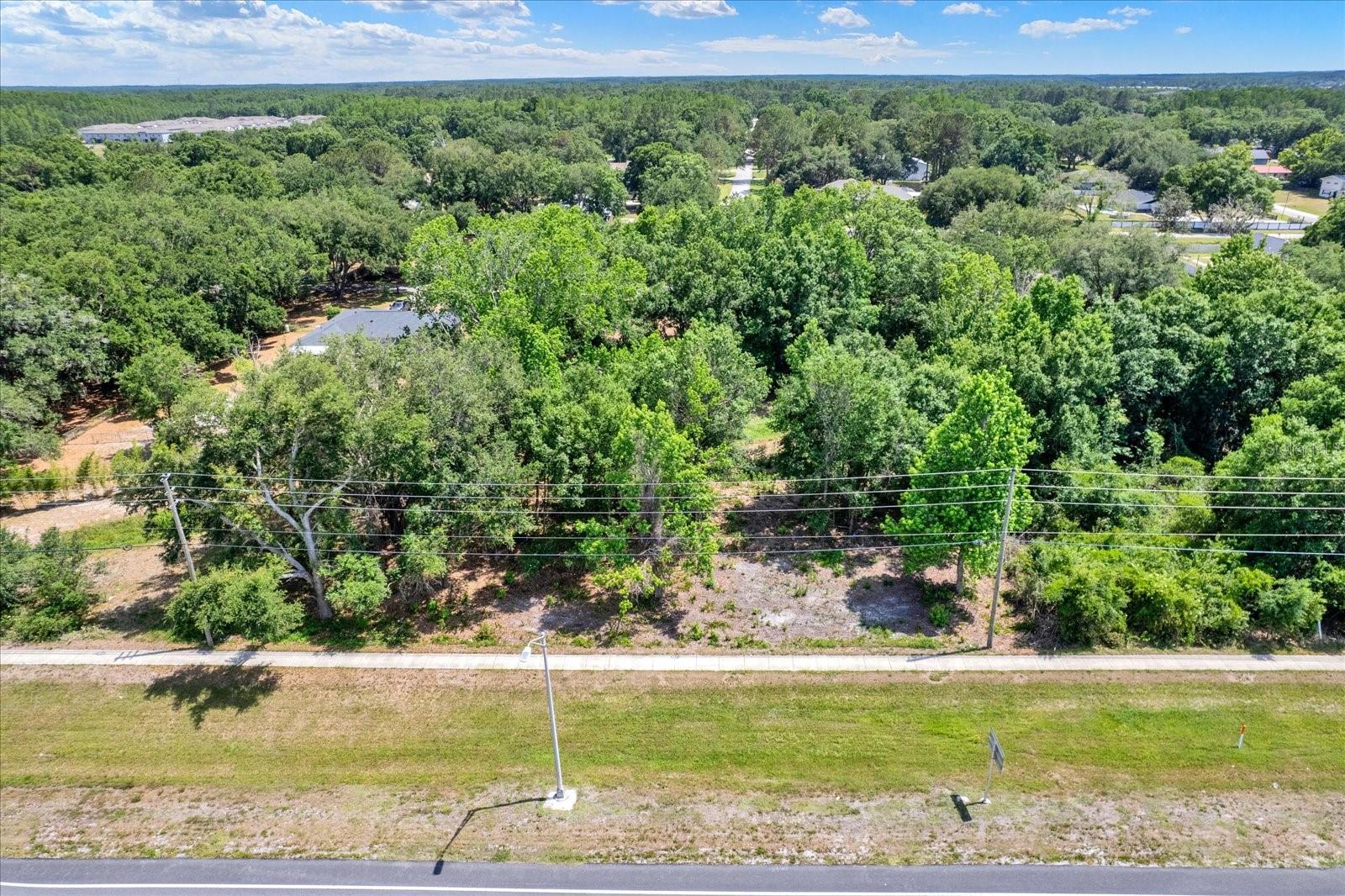 STATE ROAD 54, LUTZ, FL, 33558
