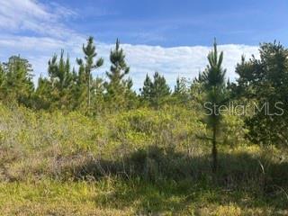 118 (BLK 356 LOT 9) TROPICANA DR, INDIAN LAKE ESTATES, FL, 33855