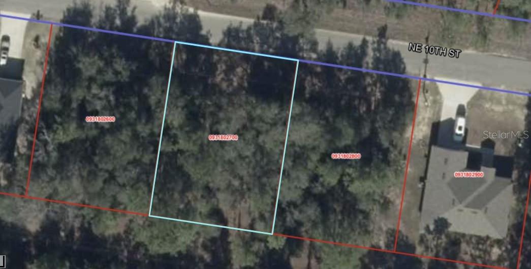 TBA NE 10TH STREET, WILLISTON, FL, 32696