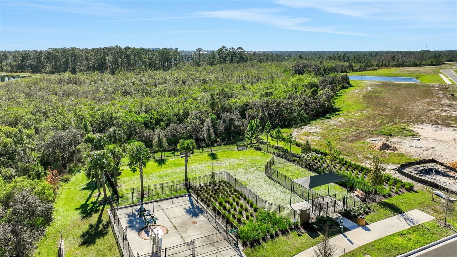 13307 PEACEFUL MELODY DR, WINTER GARDEN, FL, 34787