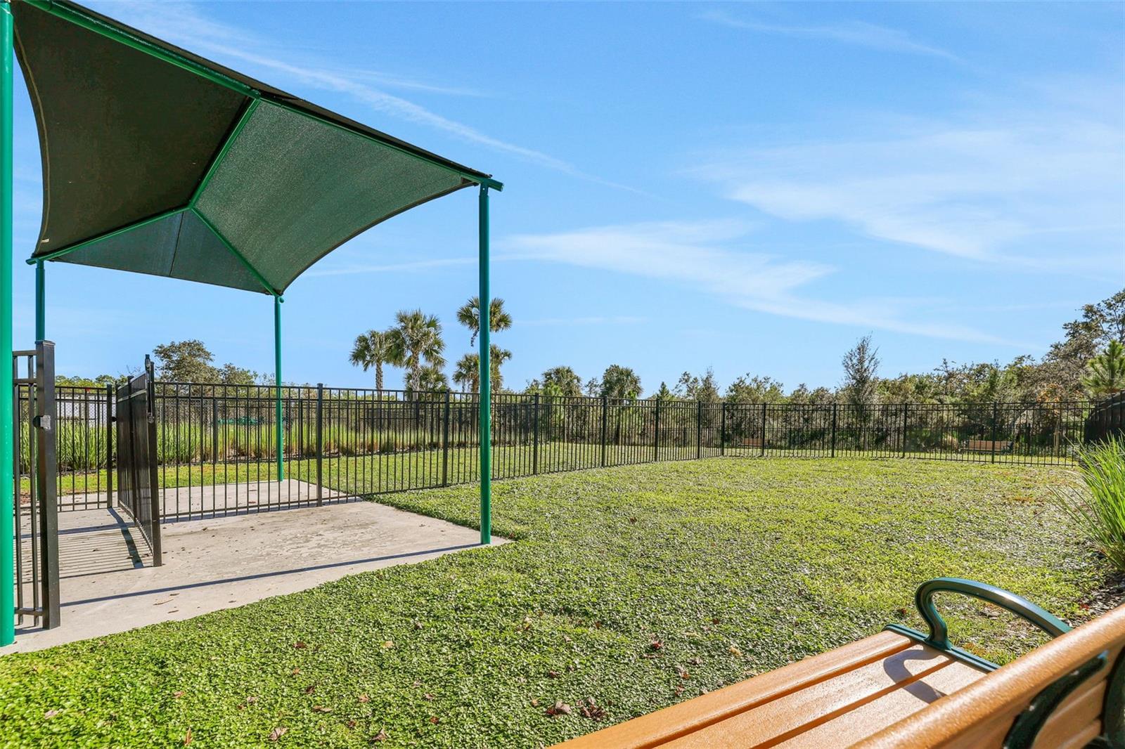 13307 PEACEFUL MELODY DR, WINTER GARDEN, FL, 34787
