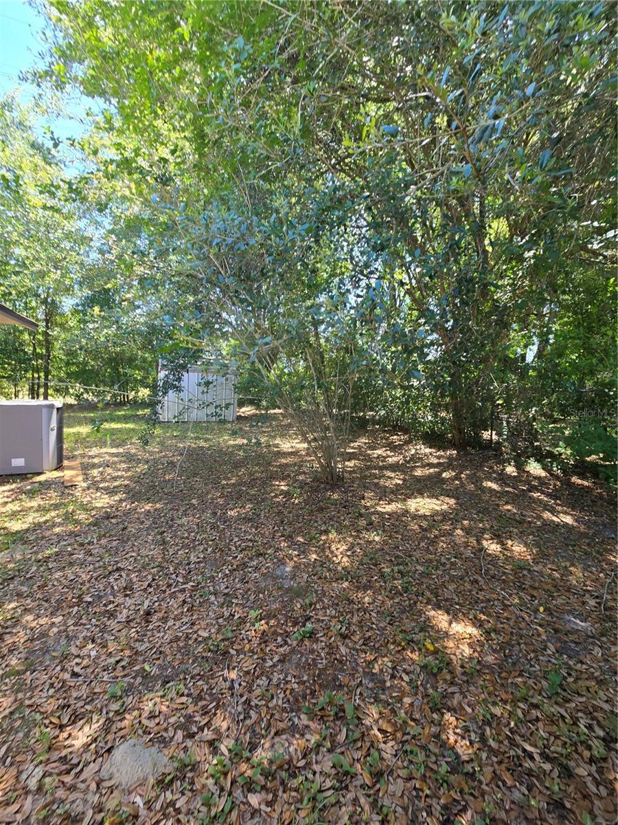 2900 NE 49TH ST, OCALA, FL, 34479
