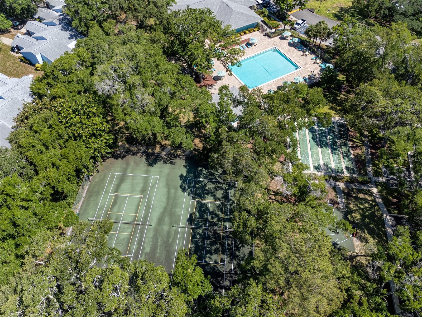 2101 FOX CHASE BLVD #107, PALM HARBOR, FL, 34683