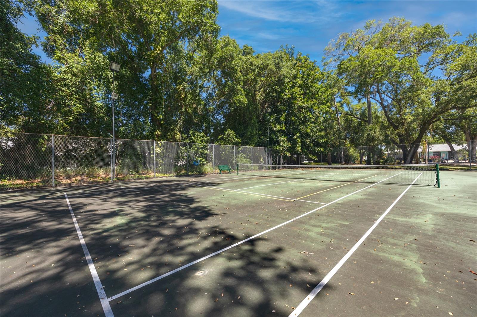 2101 FOX CHASE BLVD #107, PALM HARBOR, FL, 34683