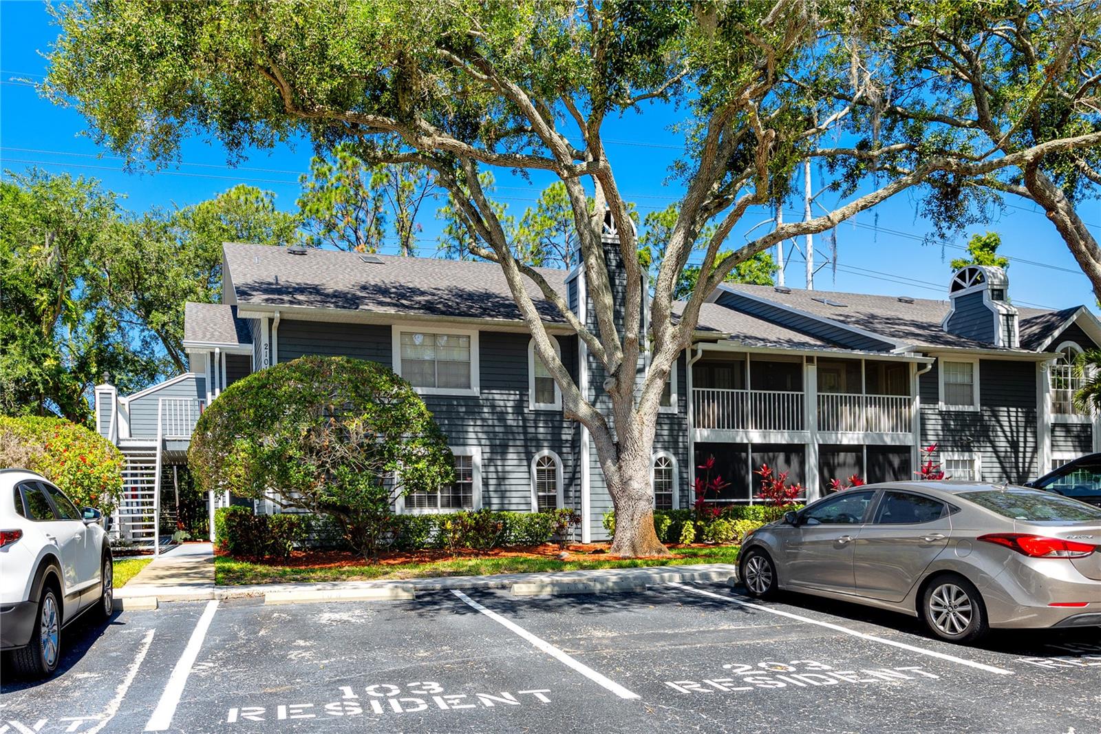 2101 FOX CHASE BLVD #107, PALM HARBOR, FL, 34683