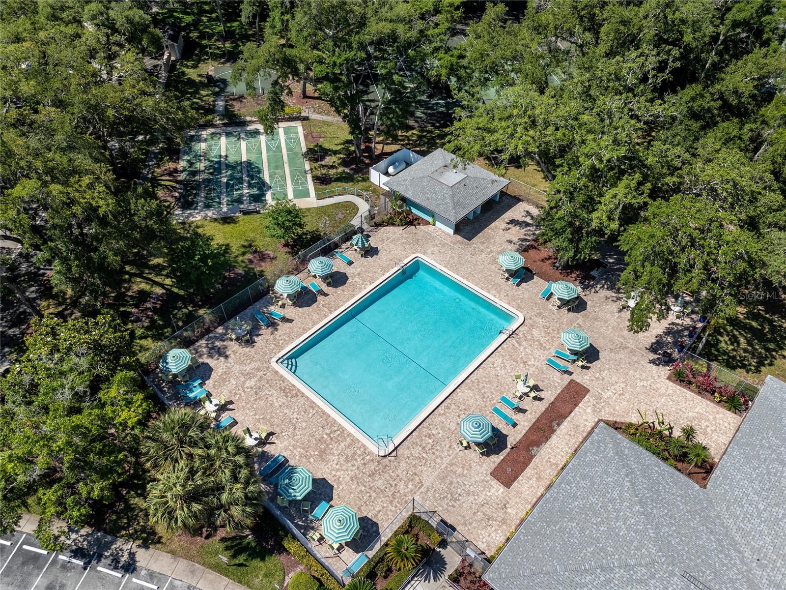 2101 FOX CHASE BLVD #107, PALM HARBOR, FL, 34683