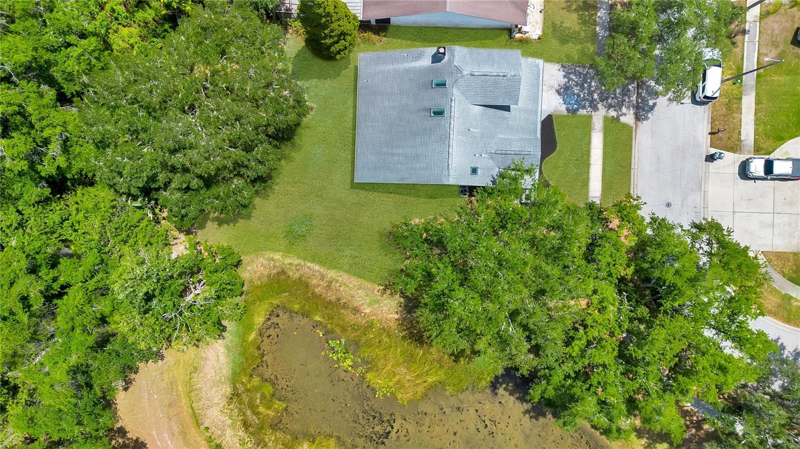 11230 ELMFIELD DR, TAMPA, FL, 33625