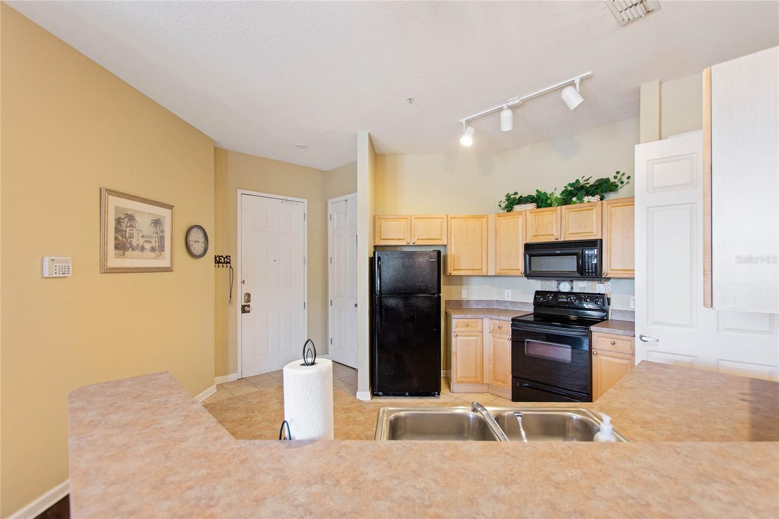 206 TERRACE RIDGE CIR #206, DAVENPORT, FL, 33896