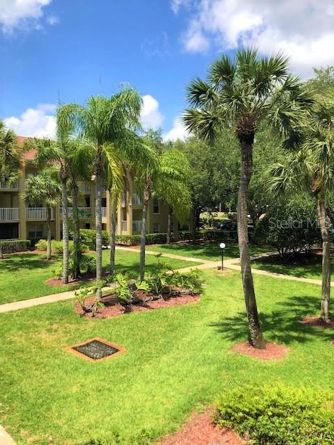 2690 CORAL LANDINGS BLVD #438, PALM HARBOR, FL, 34684
