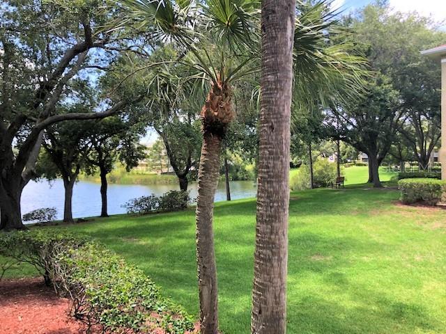 2690 CORAL LANDINGS BLVD #438, PALM HARBOR, FL, 34684