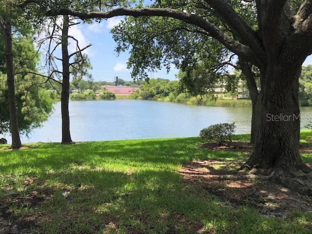 2690 CORAL LANDINGS BLVD #438, PALM HARBOR, FL, 34684