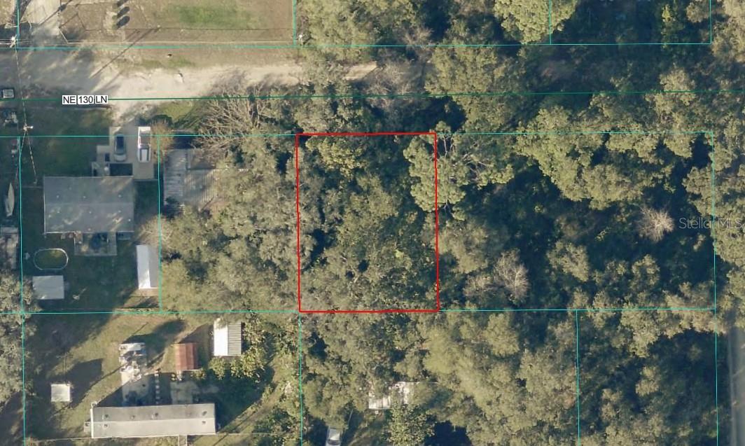 TBD LOT 34 NE 130TH LN, SALT SPRINGS, FL, 32134