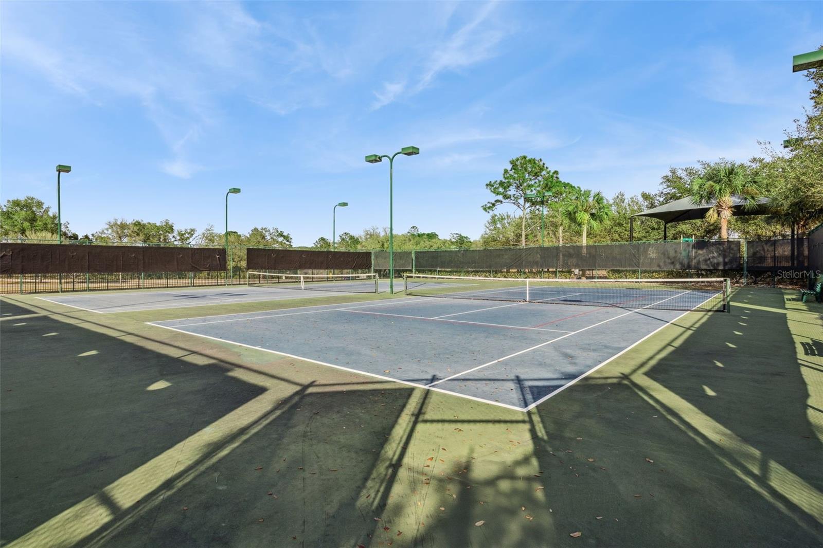 4802 ROYCE DR, MOUNT DORA, FL, 32757