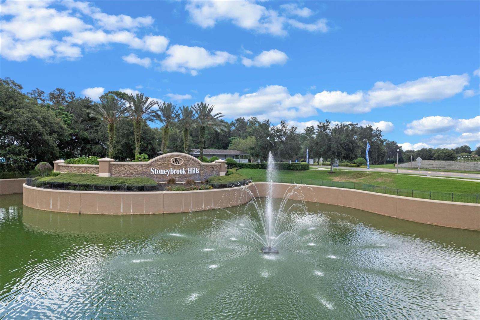 4802 ROYCE DR, MOUNT DORA, FL, 32757