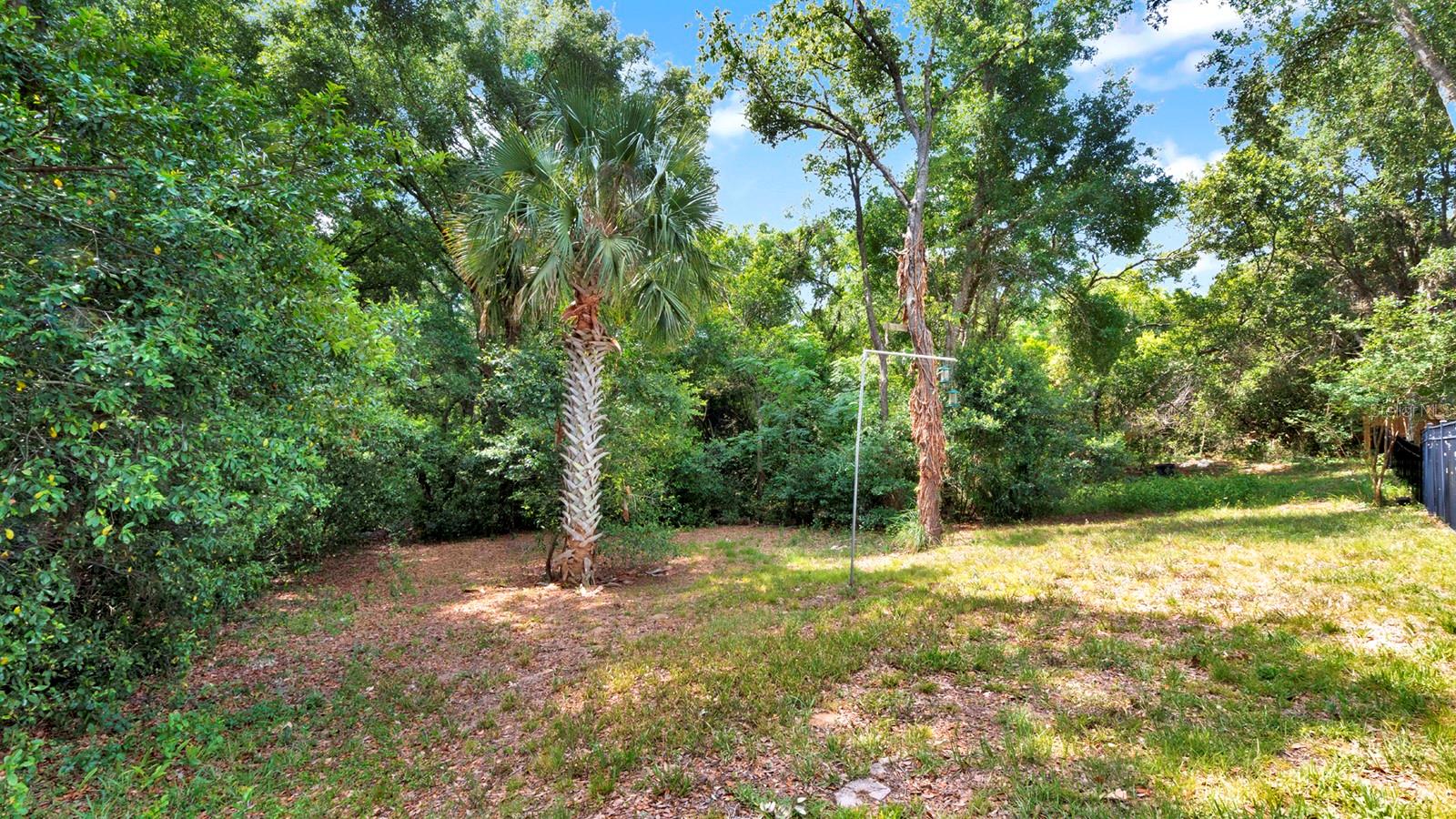 1970 CARPATHIAN DR, APOPKA, FL, 32712