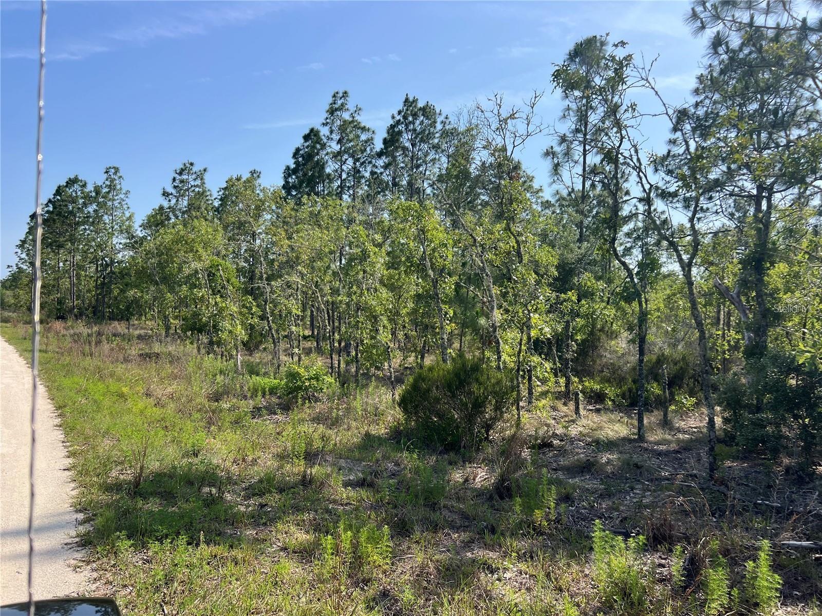 NE 151ST AVE, WILLISTON, FL, 32696