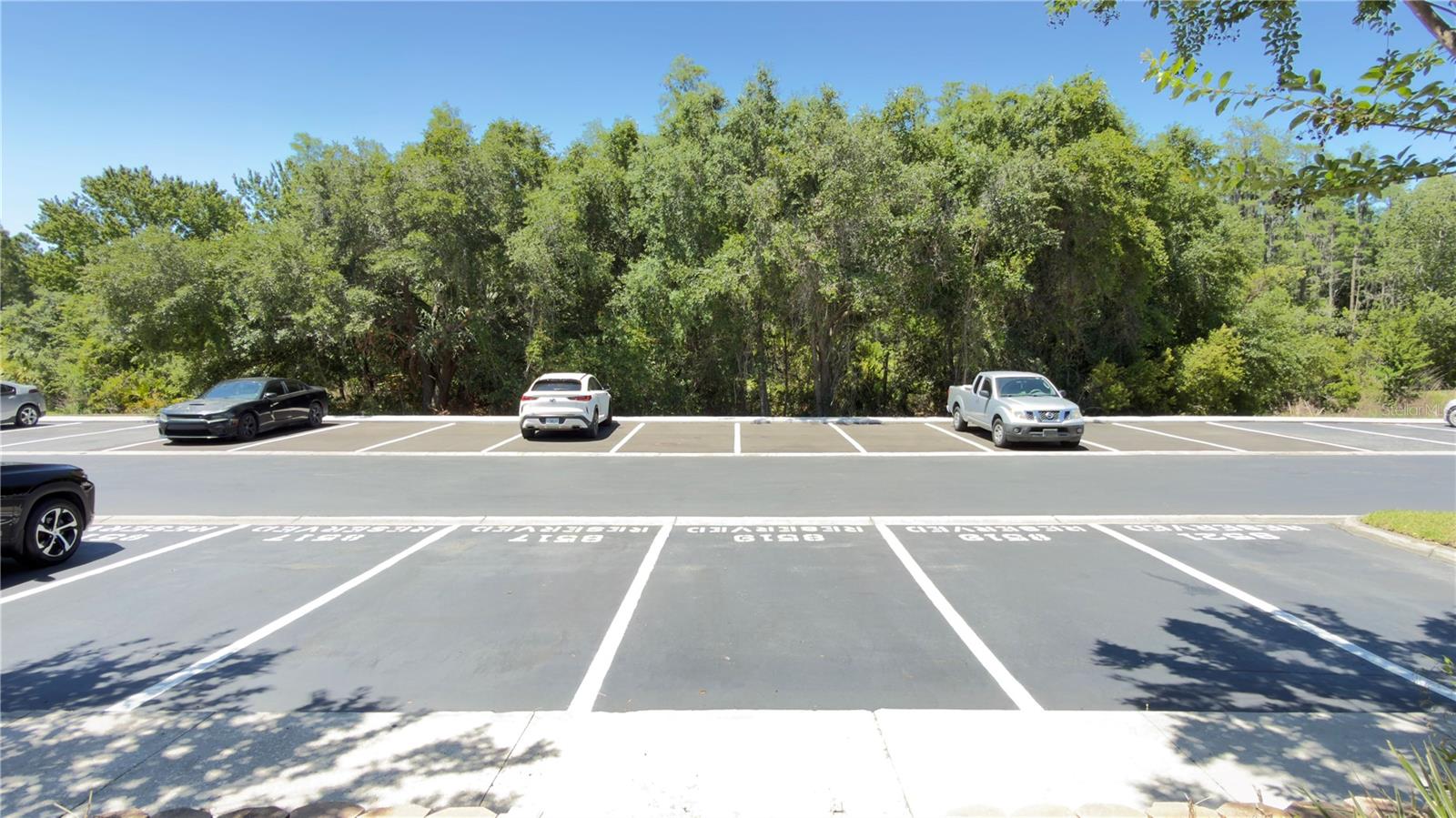 8519 TRAIL WIND DR, TAMPA, FL, 33647