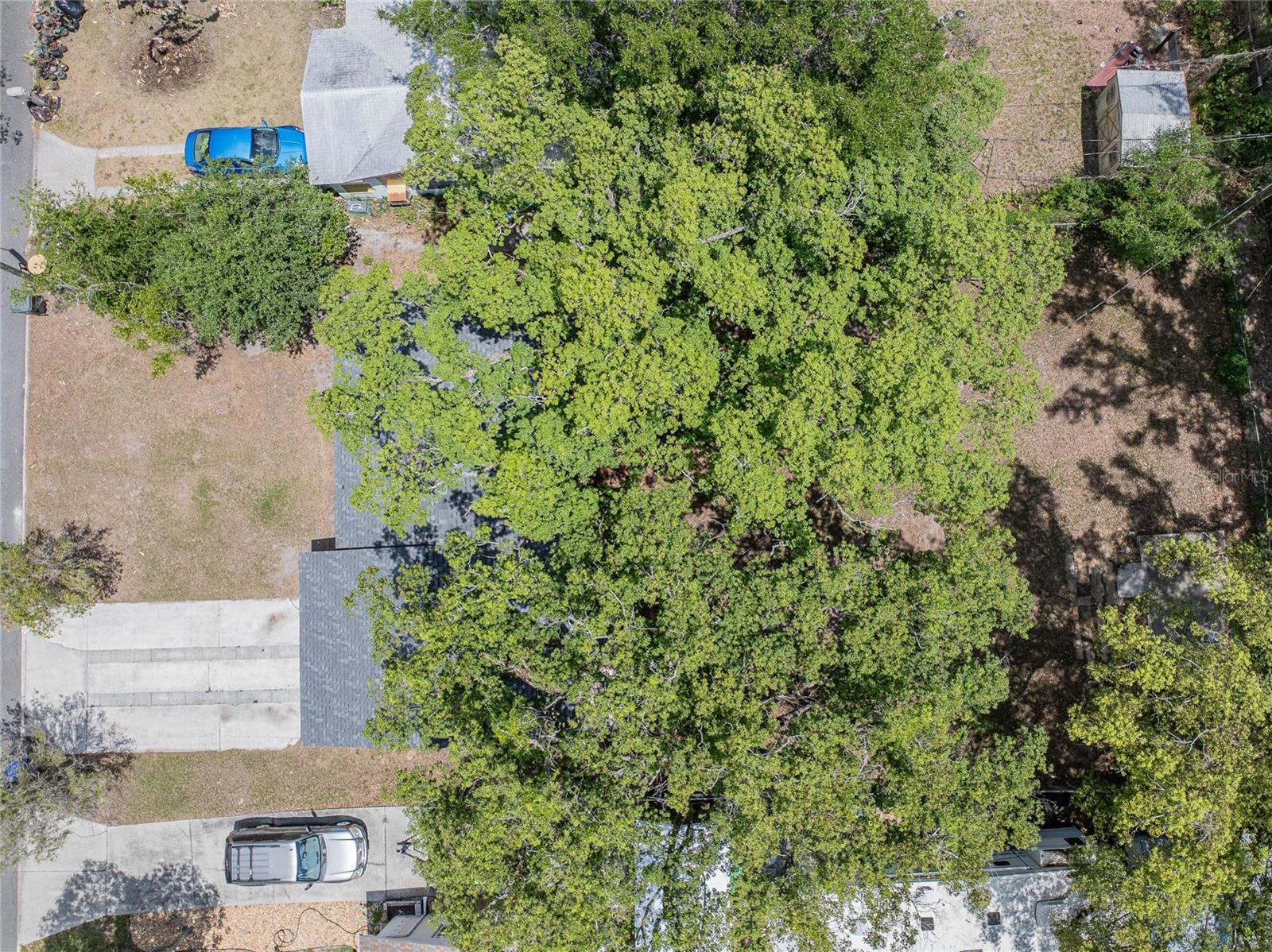 1634 S WARREN AVE, LAKELAND, FL, 33803