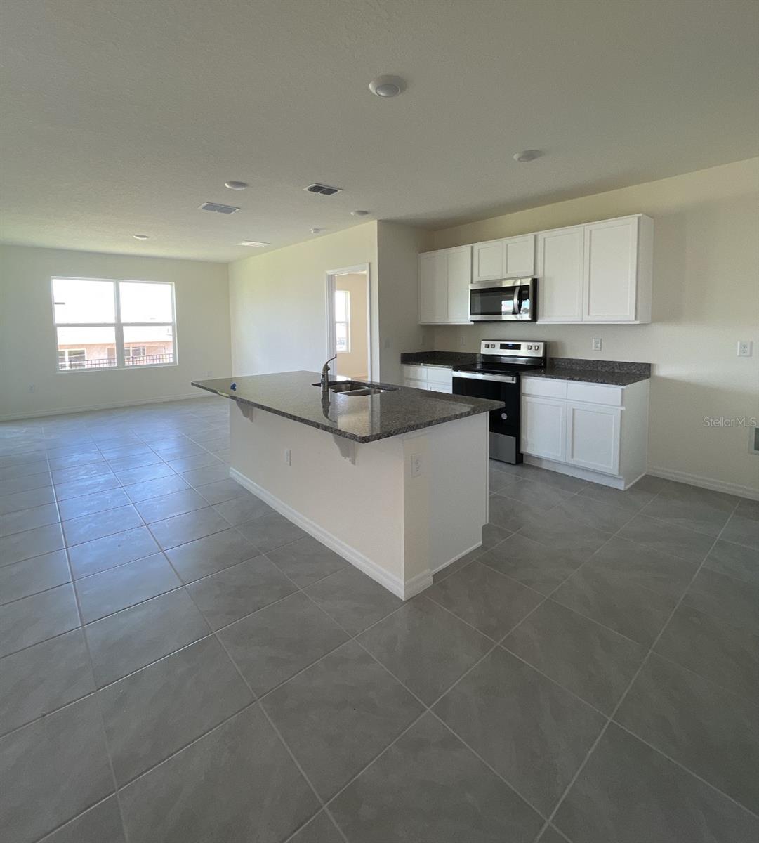 1779 BUCKEYE RD, DAVENPORT, FL, 33837