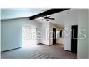 409 S DIXIE AVE, FRUITLAND PARK, FL, 34731