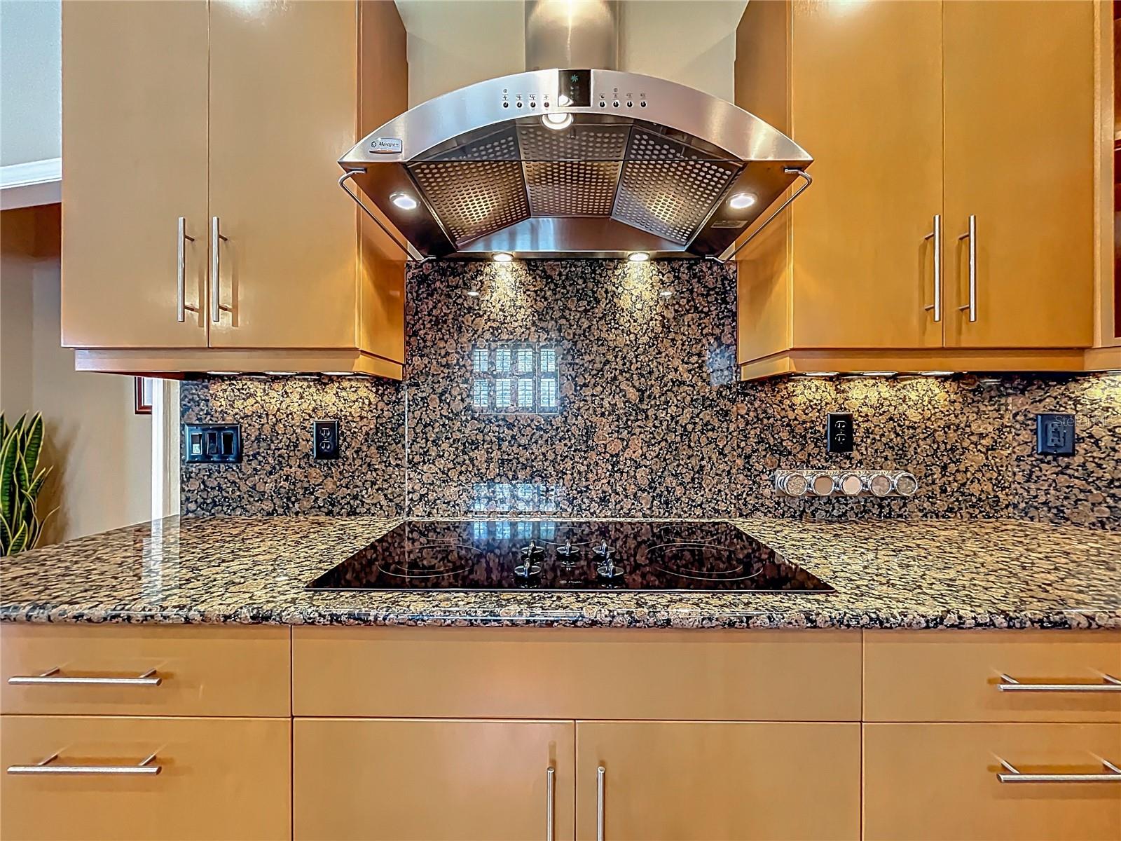 2470 SWEETWATER COUNTRY CLUB DR, APOPKA, FL, 32712