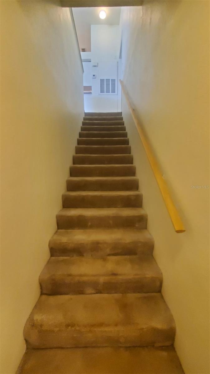 36243 LAKE CHASE BLVD #203, ZEPHYRHILLS, FL, 33541