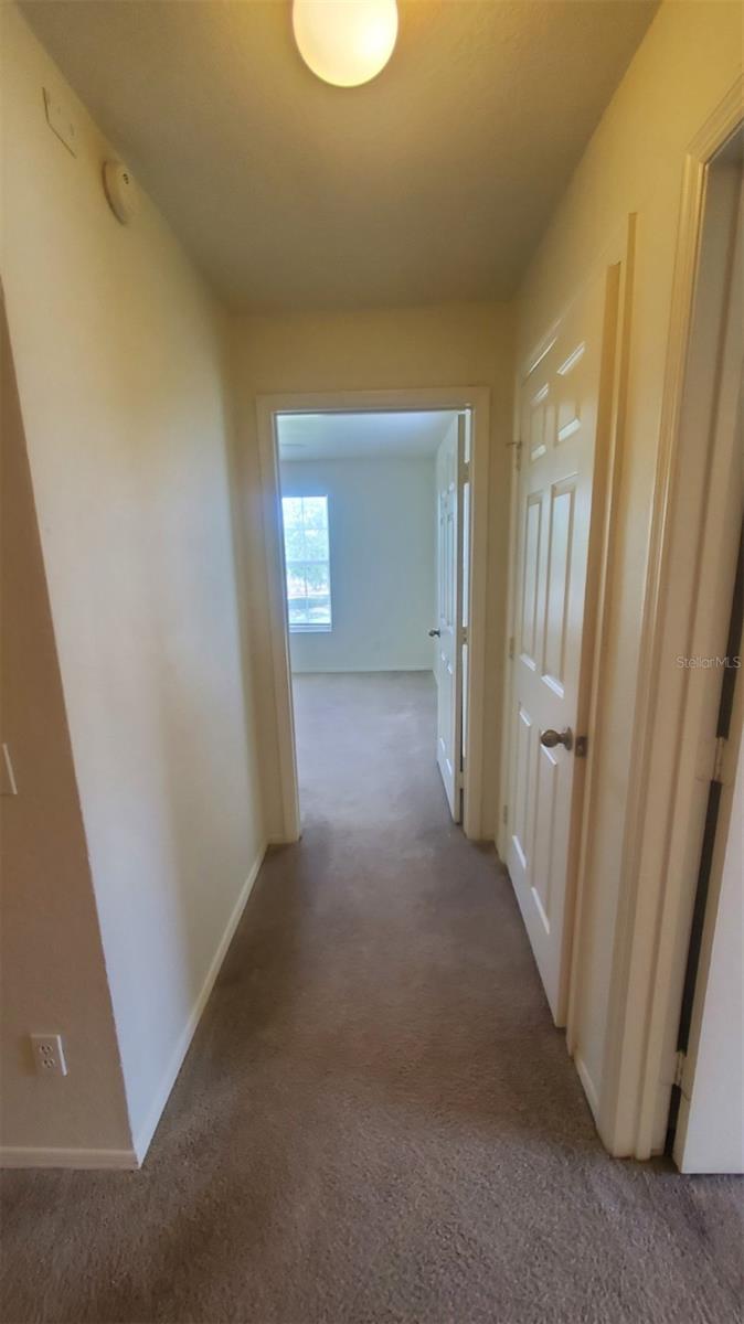 36243 LAKE CHASE BLVD #203, ZEPHYRHILLS, FL, 33541
