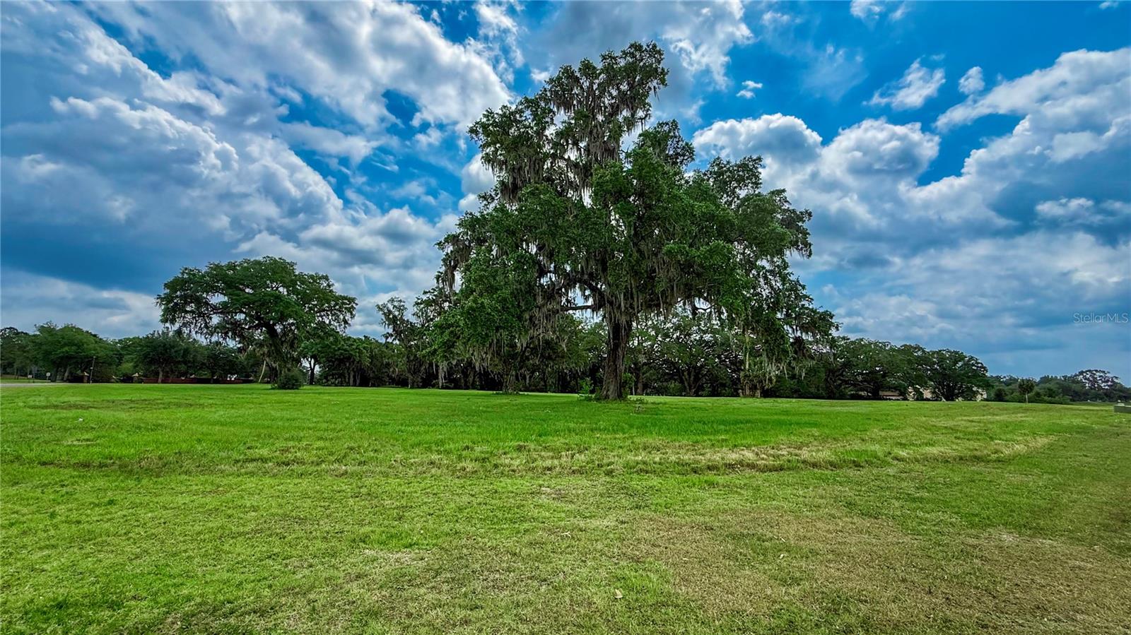 NW 17TH CIR, OCALA, FL, 34475