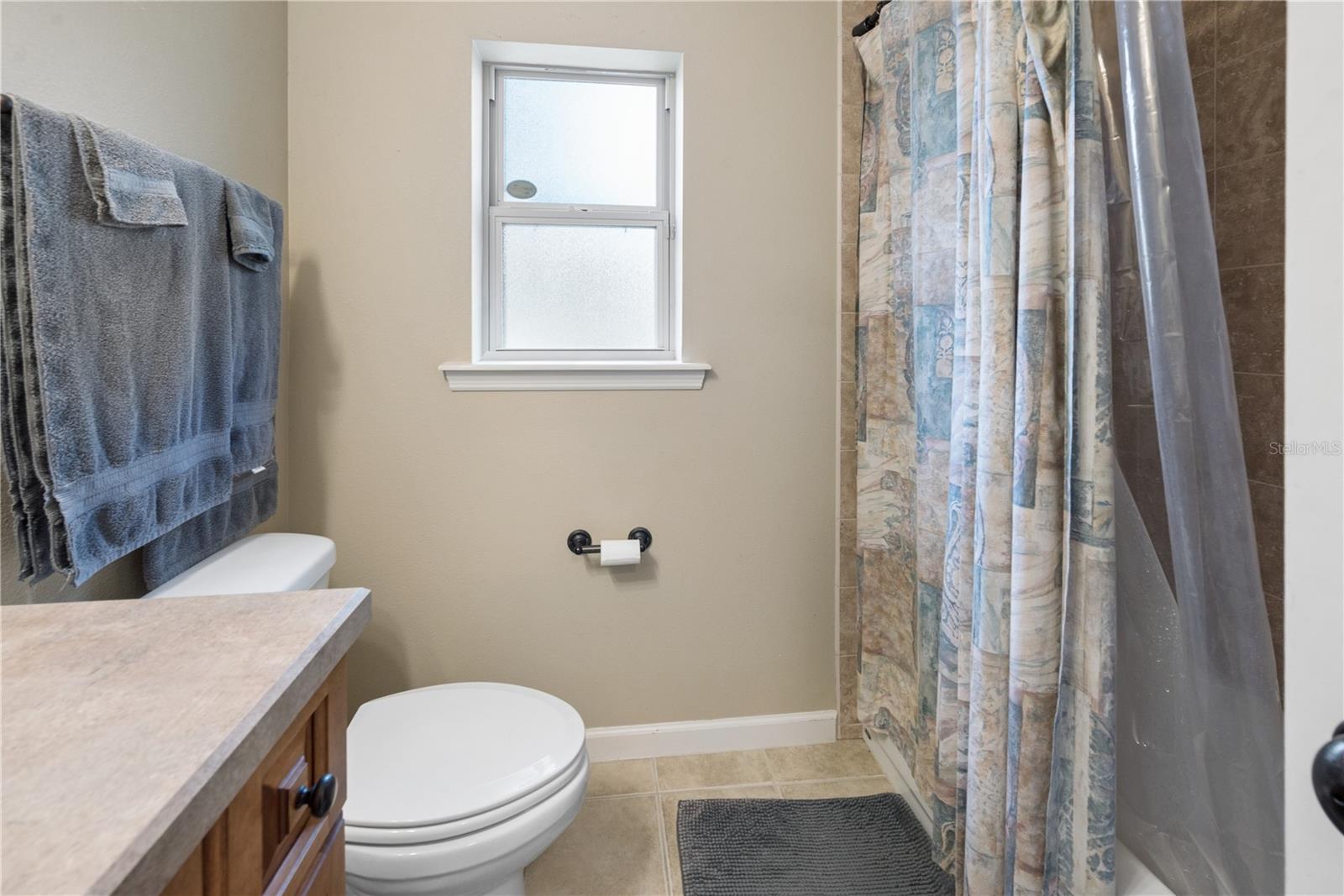 376 SW FIELDSTONE CT, LAKE CITY, FL, 32024