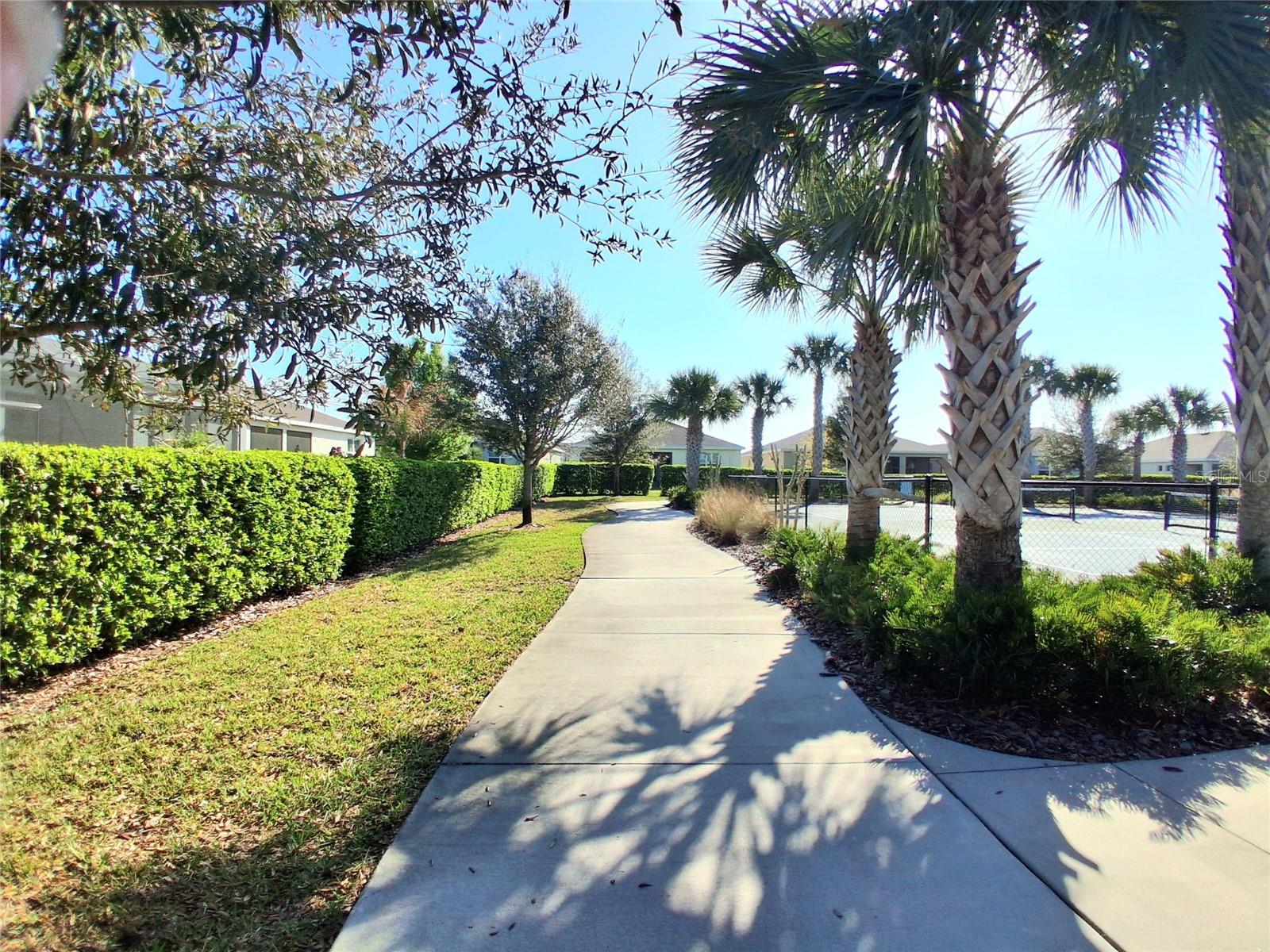 8072 PENROSE PL, WILDWOOD, FL, 34785