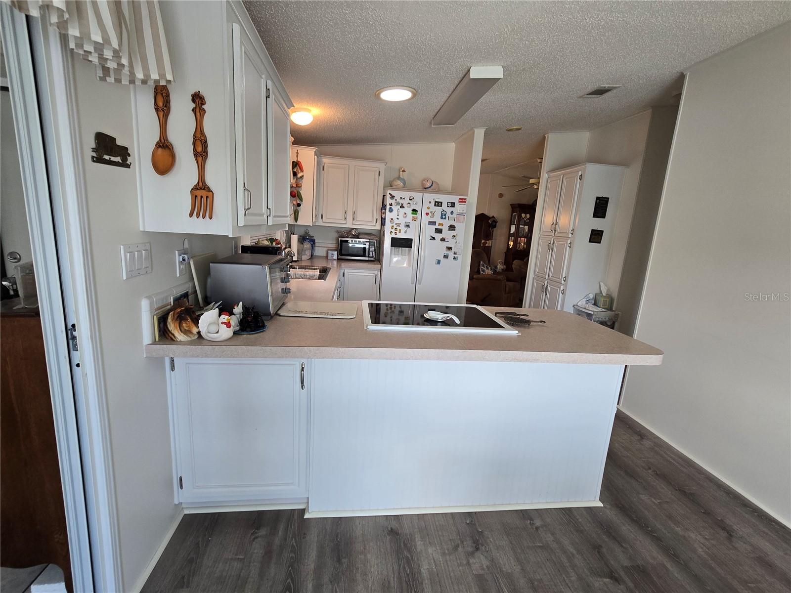 88 STRAPHMORE DR, HAINES CITY, FL, 33844