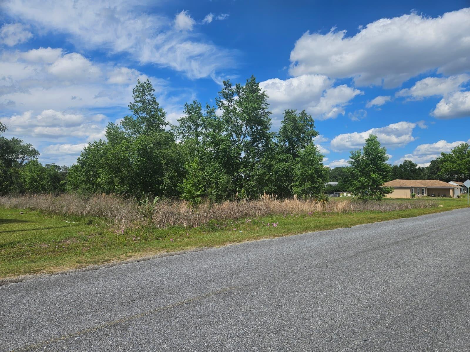 SE 140TH ST, SUMMERFIELD, FL, 34491