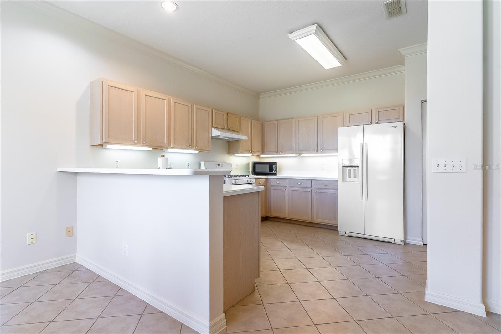 9288 SW 93RD CIR, OCALA, FL, 34481